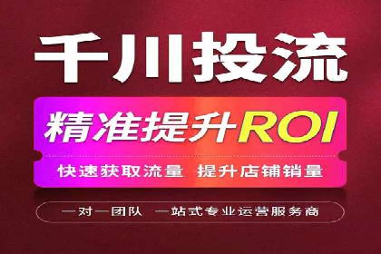 案例研究：竞价广告助力电商行业增长